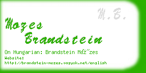 mozes brandstein business card